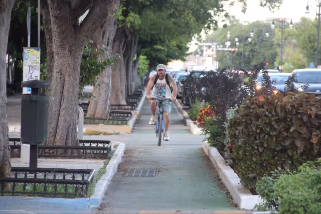 La Asociación Cicloturixes solicita al Gobierno reconsiderar la intervención en Paseo de Montejo