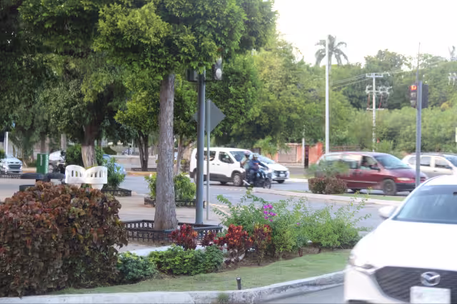 Se busca retirar las jardineras de Paseo de Montejo de Mérida