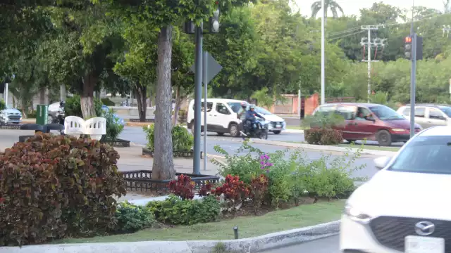 Se busca retirar las jardineras de Paseo de Montejo de Mérida