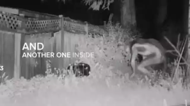 Captan en video presunto alien que aterrizó en Las Vegas