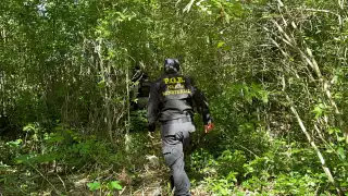 En lo que va del presente año se han registrado 42 casos y 19 ejecuciones en el municipio