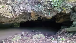 Colectivos ambientalistas advierten crisis hídrica por contaminación de acuíferos en Quintana Roo