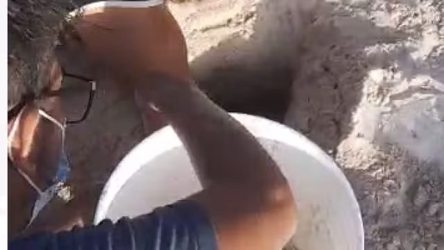 El biólogo Jorge Antonio Lara manifestó que el nido era muy profundo, por lo que es necesario cambiarlo de lugar