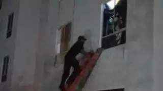 Se encontraba sin comer dentro de un predio