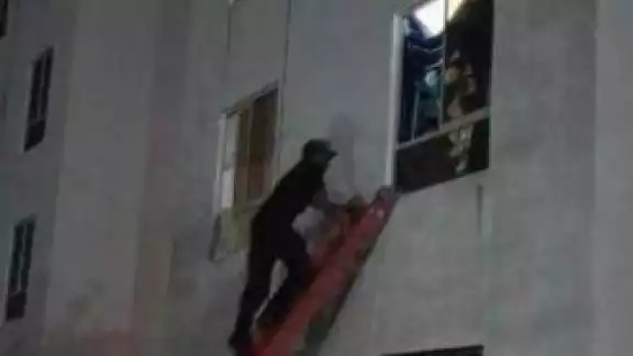Se encontraba sin comer dentro de un predio Se encontraba sin comer dentro de un predio