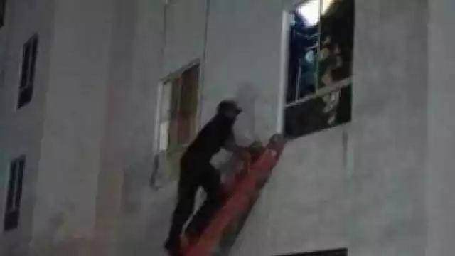 Se encontraba sin comer dentro de un predio