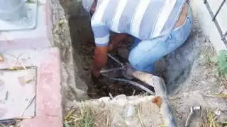 Las autoridades de la comunidad decidieron implementar el corte.