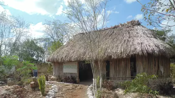 Amantes de lo ajeno vacían la unidad citrícola Jool Luum de la escuela agroecológica Yiits Ka’an Amantes de lo ajeno vacían la unidad citrícola Jool Luum de la escuela agroecológica Yiits Ka’an