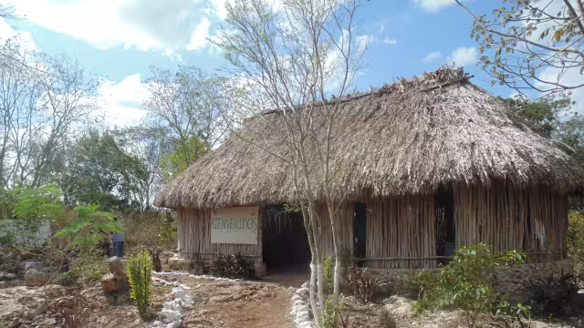 Amantes de lo ajeno vacían la unidad citrícola Jool Luum de la escuela agroecológica Yiits Ka’an