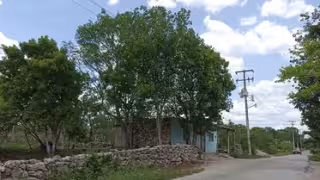 Desde el día viernes a las 11:00 horas ningún vecino tiene luz