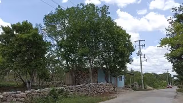 Desde el día viernes a las 11:00 horas ningún vecino tiene luz