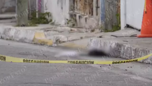 Indignación por un caso de maltrato animal en la unidad habitacional Presidentes de México.