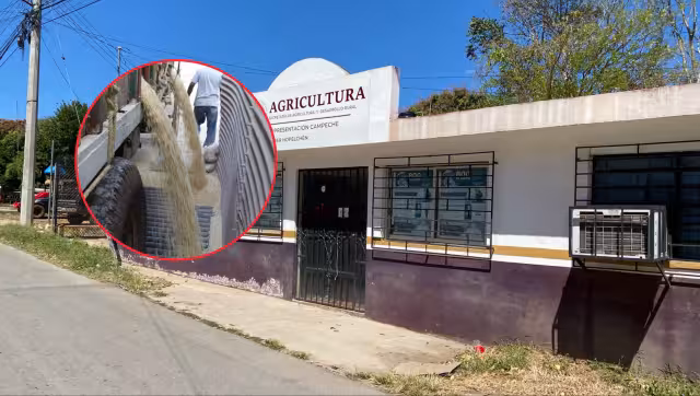 Productores de maíz de Hopelchén celebraron el cumplimiento del subsidio federal acordado en noviembre.