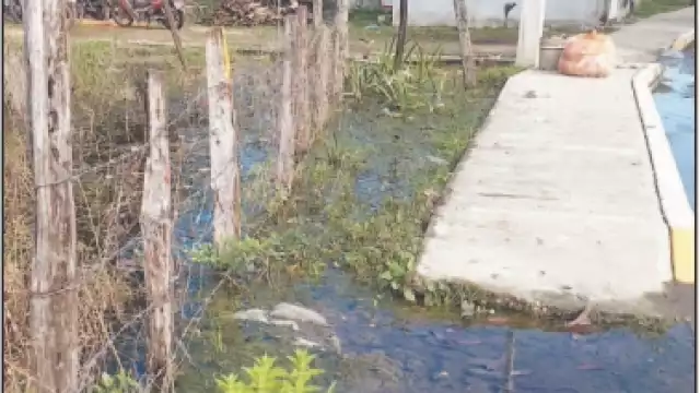 Foto: Julio Gutiérrez