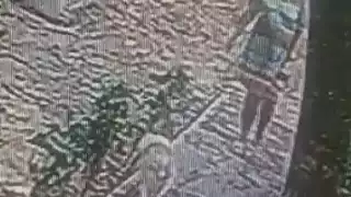 En las imágenes se muestra a la mujer pasear con sus tres perros en la Supermanzana 15