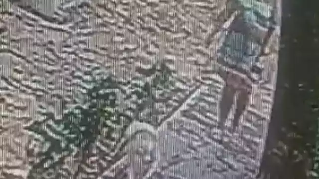 En las imágenes se muestra a la mujer pasear con sus tres perros en la Supermanzana 15