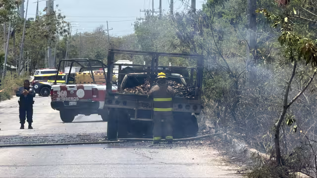 Bomberos sofocaron primero el fuego del vehículo y posteriormente continuaron con las llamas en el área de maleza