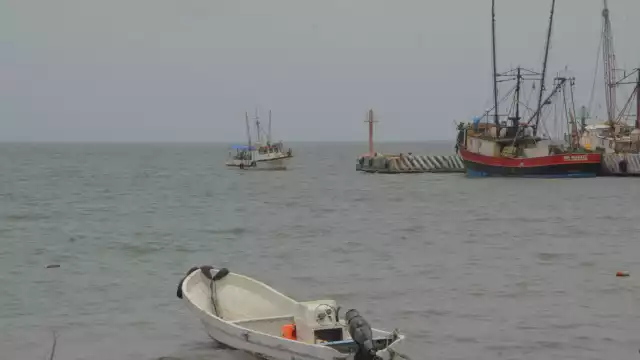 El evento se hizo viral en redes sociales