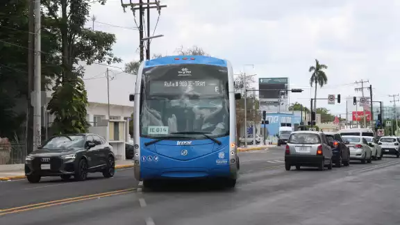 Se retomará el recorrido del Va y Ven e IE-TRAM en las próximas horas