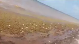 Foto: Abraham Cohuó