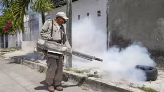 Quintana Roo suma 153 casos de dengue y lidera contagios en la Península
