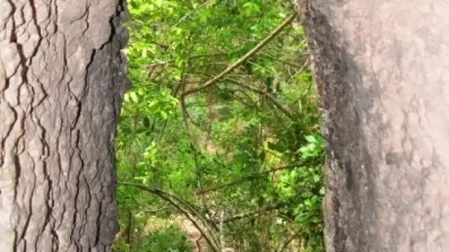 Los cuatro principales vestigios arqueológicos cercanos a la comunidad Nicolás Bravo se encuentran abandonados