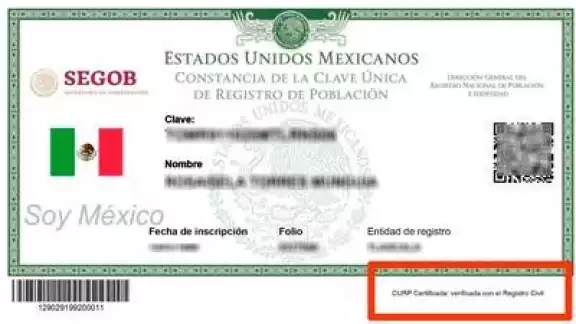 La Clave Única de Registro de Población es un documento oficial y obligatorio. Foto: Especial La Clave Única de Registro de Población es un documento oficial y obligatorio. Foto: Especial