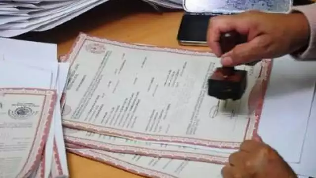 En 2022 se reportaron más de 500 actas de nacimiento apócrifas en Ciudad del Carmen