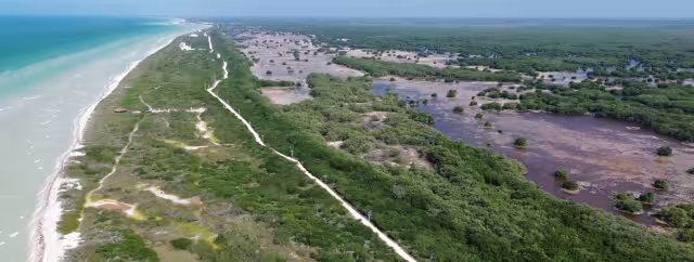 La Secretaría de Desarrollo Sustentable acudió a la FGR y Profepa para pedir una investigación