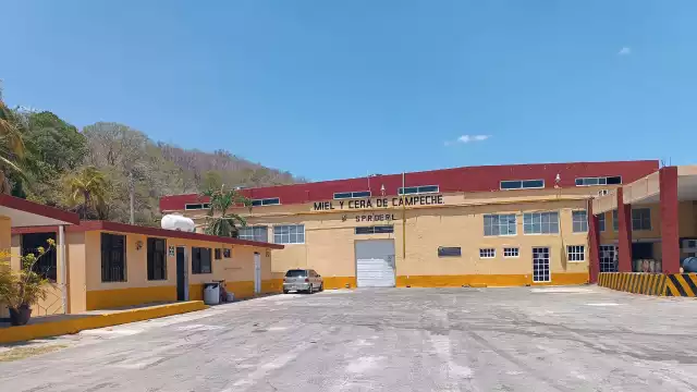 En Miel y Cera de Campeche 