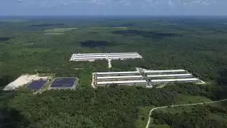 Activista lamenta convenios como el de la UADY con Kekén, empresa que contamina agua y suelo