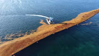El municipio contempla instalar cinco kilómetros más de mallas para contener el alga marina