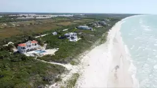 Desarrollos inmobiliarios como Grupo Inverco han deforestado hectáreas de humedales en la costa