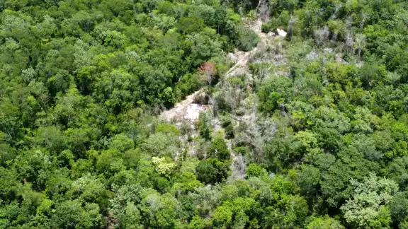Los 52 predios están en Chiapas, Campeche, Yucatán y Q. Roo, según las publicaciones del DOF