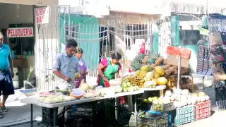 El 52.7 por ciento de los mayahablantes son varones: 92 mil 102, frente a las 82 mil 715 mujeres