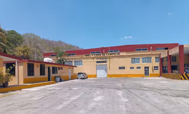 En Miel y Cera de Campeche existe una caída del 85 por ciento en la producción de miel