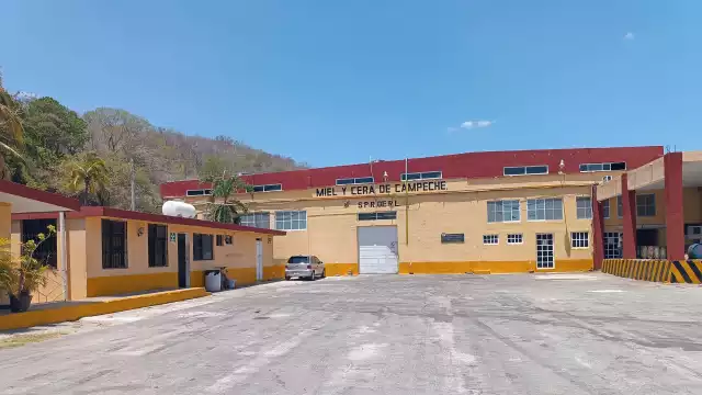 En Miel y Cera de Campeche existe una caída del 85 por ciento en la producción de miel