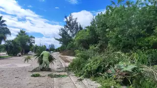 Devastan más de tres toneladas de vegetación en el Malecón Tajamar por encuentro internacional de socca
