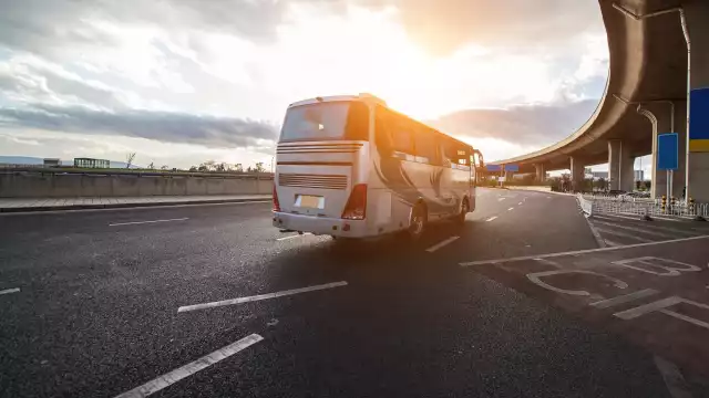 Bonifacio Bolaños Ortega era un chofer con quien me topé de frente el catorce de noviembre de mil novecientos noventa y tres.