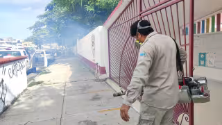 “El agua estancada favorece la proliferación del mosquito": Quintana Roo suma otros 12 casos de dengue en una semana