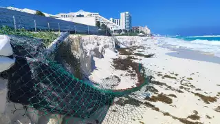 Erosión costera daña corral de tortugas en Cancún
