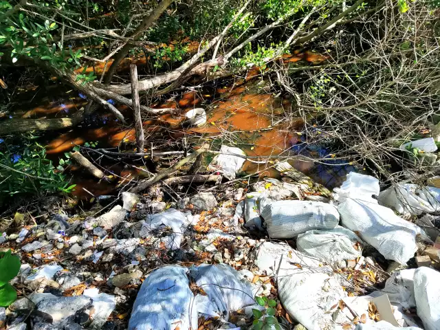 La contaminación y relleno de manglares alarma a habitantes y ambientalistas en Cancún.