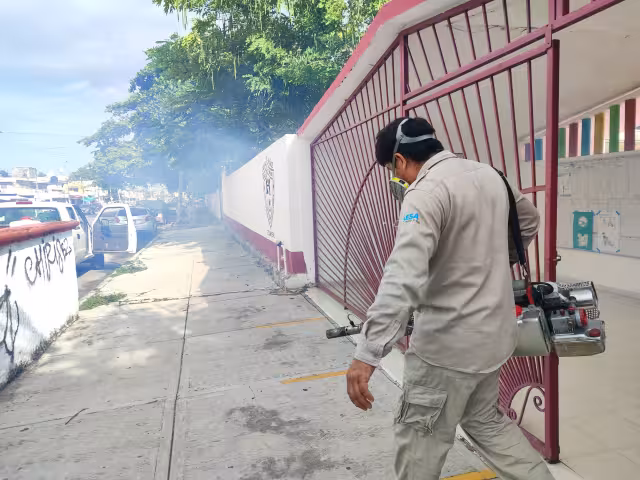 Autoridades informaron que analizan 347 probables contagios, lo cual alarma a los habitantes; pidieron jornadas de nebulización para evitar la proliferación del mosco