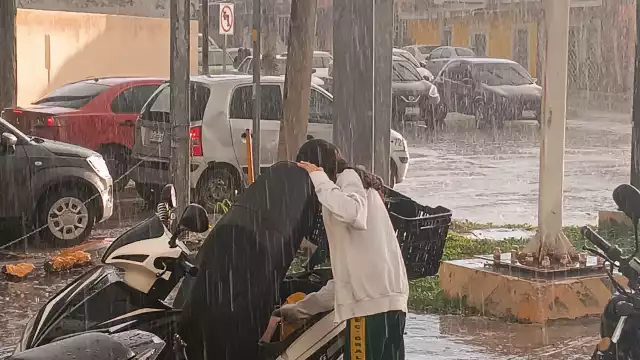 La Secretaría de Protección Civil emitió alerta azul por ciclones tropicales en varios municipios de Campeche debido a la tormenta tropical Sara