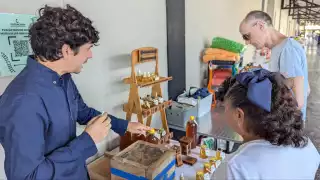 Productores suelen tener problemas con los ingresos, pues les compran por debajo del precio establecido