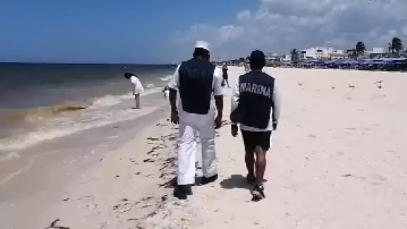 La marea roja aún está presente en la costa de Yucatán La marea roja aún está presente en la costa de Yucatán