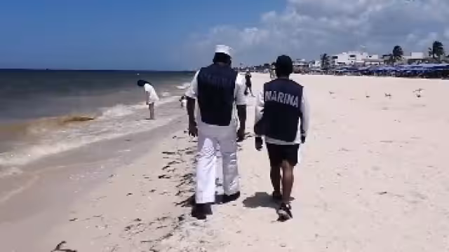 La marea roja aún está presente en la costa de Yucatán