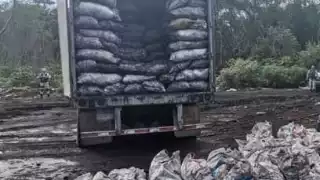 El producto se elabora en fin de semana y se carga en tráileres