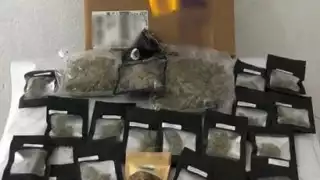 Estas acciones se hacen como parte de la estrategia Nacional de Seguridad Pública y para contribuir a la Estrategia Nacional de Prevención de Adicciones Juntos por la Paz