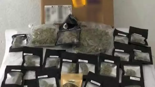 Estas acciones se hacen como parte de la estrategia Nacional de Seguridad Pública y para contribuir a la Estrategia Nacional de Prevención de Adicciones Juntos por la Paz